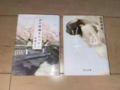 【恋愛小説2冊セット】　君の膵臓をたべたい、美丘