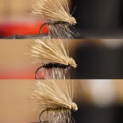 エルクヘアカディス ドライフライ