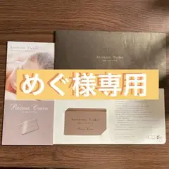 TBC エステチケット プレシャスコース