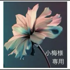 小梅さん様　専用