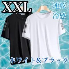速乾 冷感 Tシャツ トレーニング スポーツ 吸汗 2枚 XL〜XXL 男女兼用