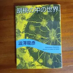 胡桃の中の世界 　河出文庫