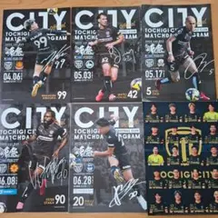 栃木シティ マッチデイプログラム5部(キラキラシール無し)&クリアファイル1枚