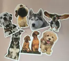 犬 ステッカーセット 7枚入り