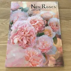 Item thumbnail for item 791dd5b9-fa51-4564-b0f7-b255fa756285