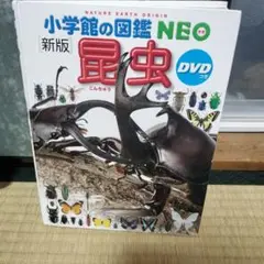 小学校の図鑑 NEO 新版 昆虫 DVDなし　カバーなし