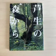芦生の森から