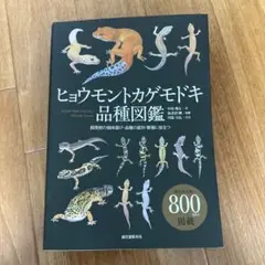 2025年最新】ヒョウモントカゲモドキ品種図鑑の人気アイテム