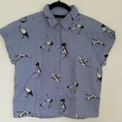 ZARA　半袖　シャツ