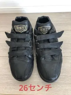 ZETT(ゼット)トレーニングシューズ 26センチ