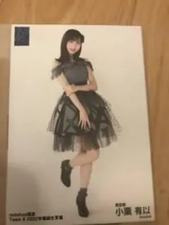 Item thumbnail for item 39d64b2a-51a9-4071-a606-d43fcfc86b84