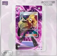 シロナ SR 専用ディスプレイフレーム　アクリルフレーム