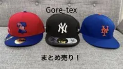 Item thumbnail for item 410b331f-0307-468b-a499-3ba75c22a894