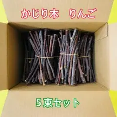Item thumbnail for item 39db2d0e-54f5-463a-b756-8d130841b036