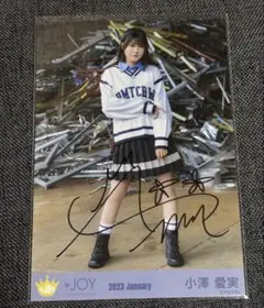 Item thumbnail for item e6f6f5e0-2511-4ed9-b4e0-741c47f1f4c9