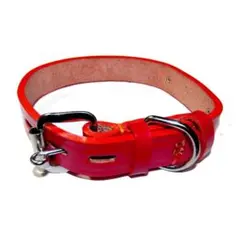 Item thumbnail for item b6593750-8937-4d12-b17b-12424ff666bf