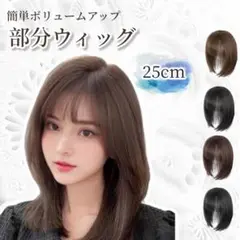 Item thumbnail for item b75b2e62-39da-4e5d-9830-04e9d4b9faad