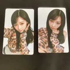 Item thumbnail for item 8a4d8b69-9c78-434e-ae9e-f57f44c8dbd6