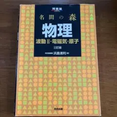 名問の森物理 波動2・電磁気・原子