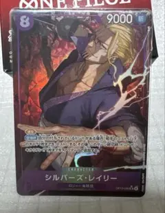シルバーズ・レイリーSRパラレル