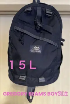GREGORY×BEAMS BOY別注40th サニーデイスペシャル ネイビー