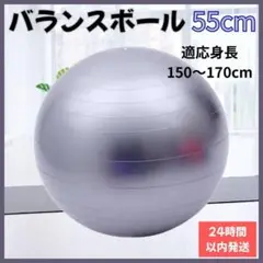 【新品未使用】バランスボール ヨガ 55cm グレー フィットネス ジム