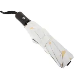 Item thumbnail for item edfdd6b6-cb05-40d6-a789-df1fbe2d6c0a