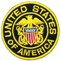 ワッペン USA 紋章 パッチ ミリタリー 軍物 アイロン アップリケ 送料無料