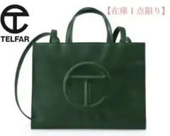 【新品未使用✨】 ショルダーバッグ ダークオリーブ テルファー ミディアム M