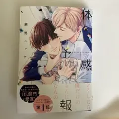 体感予報