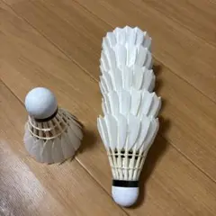 Item thumbnail for item c5fe1c3b-9821-4e69-b737-16ef06e85595