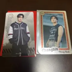 straykids チャンビン フォトカード セット dominATE
