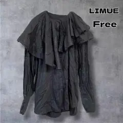 LIMUE リミュ アシメビックカラーブラウス