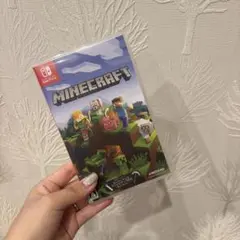 Minecraft Nintendo Switch版