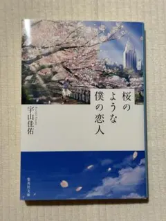 桜のような僕の恋人