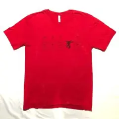 FIREBALL FRIDAY TシャツXL ファイアーボール ウイスキー企業T