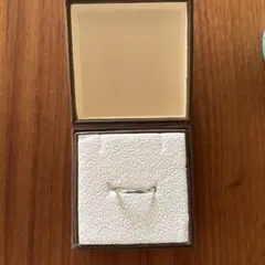 Item thumbnail for item 78df3c0e-de16-4cb2-9f6b-c58a85535d1a