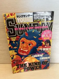 YOUNG SUNDAY 1993年8月20日号