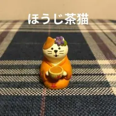 concombre　コンコンブル　ほうじ茶猫