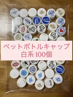 ペットボトルキャップ 100個 白系