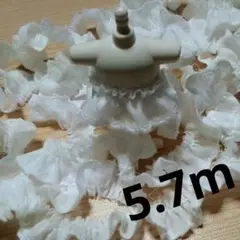 Item thumbnail for item 073bb4cd-df00-4994-900e-80ef792a0336