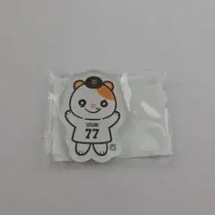 読売ジャイアンツ 内海哲也コーチ パペット テツ☆スター アクリルマグネット②
