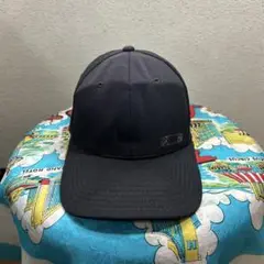 Item thumbnail for item abce5e76-8edd-474f-be51-5da1b1d38c52