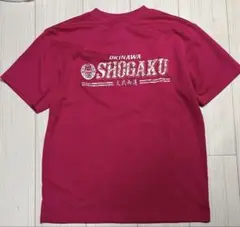 沖縄尚学tシャツ