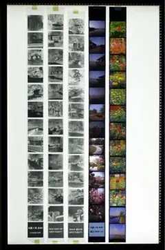 Item thumbnail for item 0f95698d-88fe-4d43-8eef-76bcad4662f4