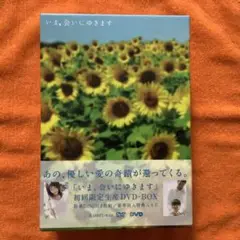 DVD 【初回限定生産】いま、会いにゆきます DVD-BOX