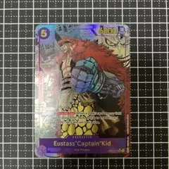 新品　ワンピースカード　展示用/鑑賞用