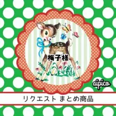 梅子様 リクエスト 5点 まとめ商品