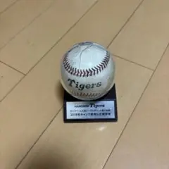 阪神タイガース2019年キャンプ使用公式練習球