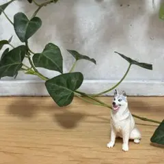 シベリアンハスキー フィギュア ミニチュアプラネット 犬